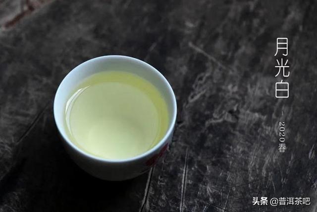 月光白茶如何冲泡，月光白茶冲泡方法（“月光白”到底是什么茶）