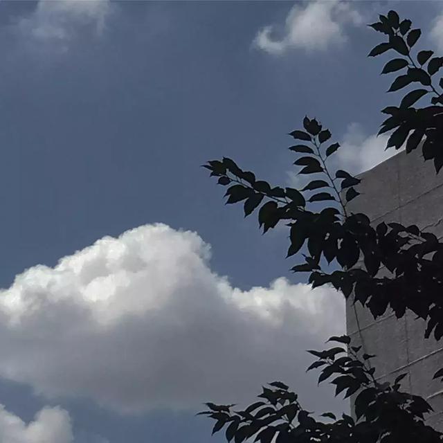 高清 唯美云朵高清背景图,微信头像,高清 唯美云朵高清背景图(柔柔的风透着花的味道) 高清 唯美云朵高清背景图,微信头像,高清 唯美云朵高清背景图(柔柔的风透着花的味道)