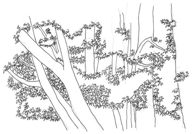 小树简笔画怎么画，小树的简笔画怎么画（教你三种常见树木画法）