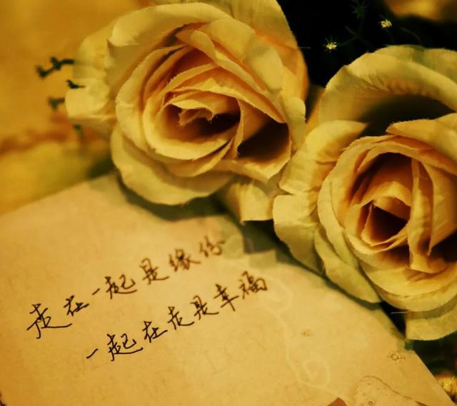 此去经年什么意思，何为＂此去经年，不负遇见＂（不负遇见；遇见）