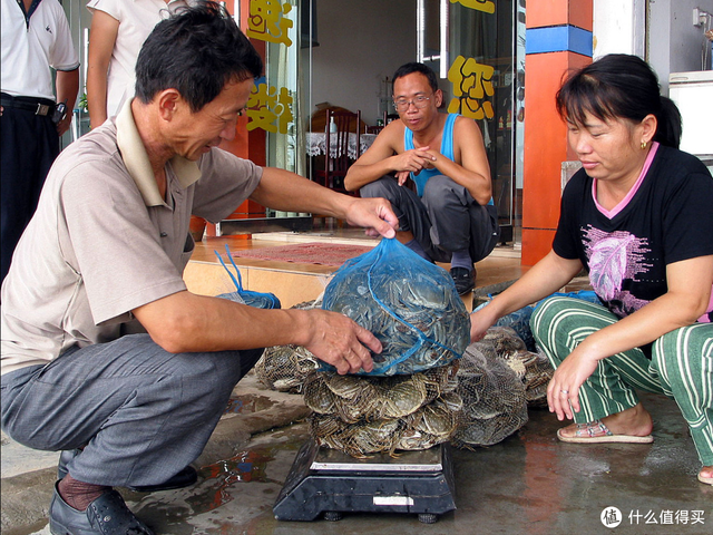 螃蟹公母怎么区分，螃蟹怎么分公母（遇到公蟹和母蟹怎么选）