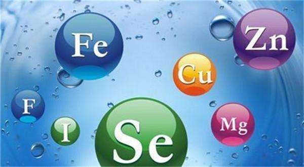 什么是裙带菜，裙带菜和海带的区别（营养师：碘元素含量相差十倍）