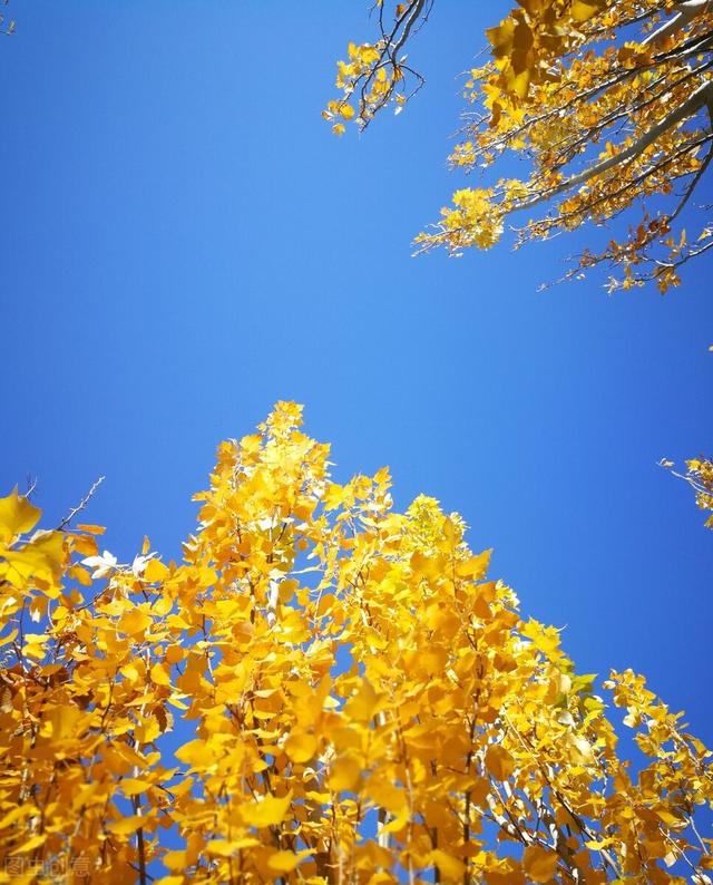 浅陌是什么意思，深陌是什么意思（跌落岁月故纸的信笺）