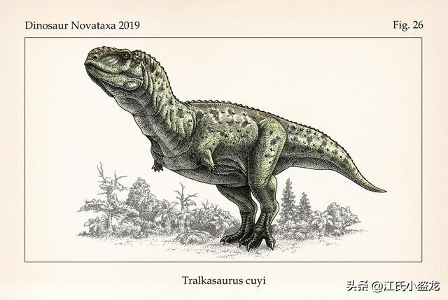 re网名的含义，Re微信昵称（2020古生物学家到底命名了多少种恐龙）
