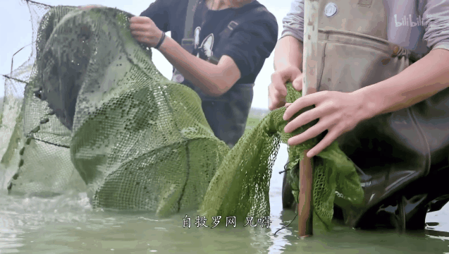 服装设计与工程冷门吗，服装设计属于冷门学科吗（湖南姑娘报考北大考古系）