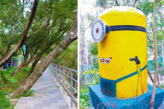 野生吊钟花什么时候开花，吊钟花结果吗（鲜艳的春节红已提早报春）