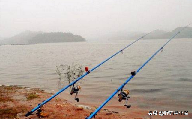 白鮰鱼和黑鮰鱼的区别是什么，它和鲶鱼大同小异却让人情有独钟—浅谈长江鮰鱼钓法选择