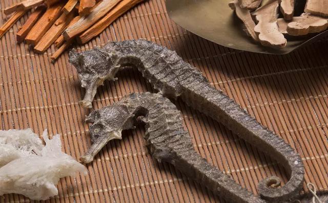 海葵汤怎么做好吃海葵汤的吃法,海葵鸡蛋汤的做法(海星、海葵、海肠……它们竟然都能吃) 海葵汤怎么做好吃海葵汤的吃法,海葵鸡蛋汤的做法(海星、海葵、海肠……它们竟然都能吃)