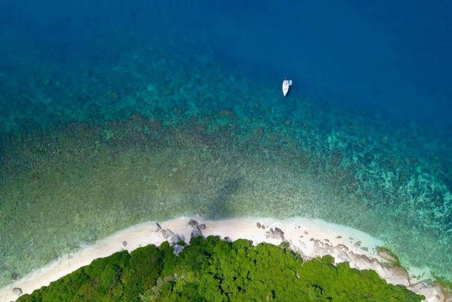 龙涎香是鲸鱼的屎吗，龙涎香是鲸鱼的排泄物（价值超50万的鲸鱼粪便）