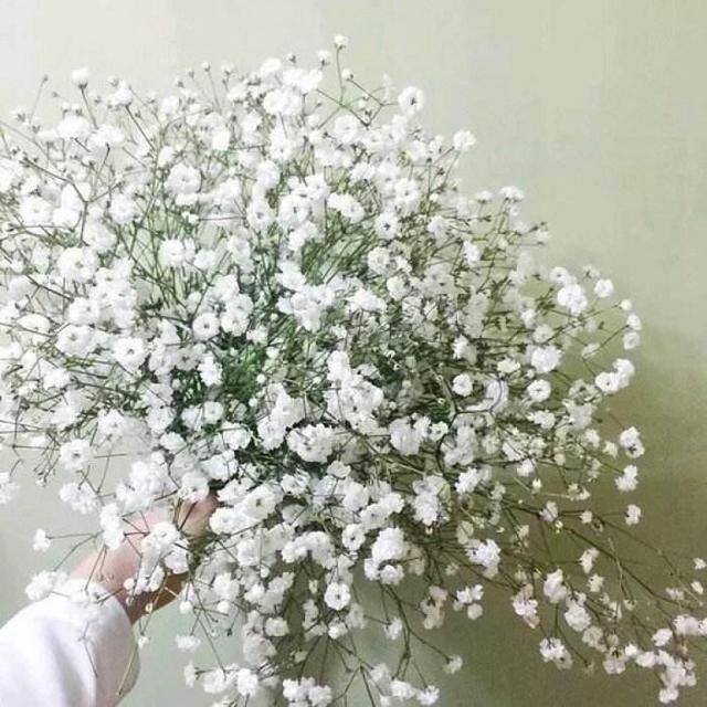 Chaud微信昵称（余温）网名，Chaud微信昵称（余温）微信昵称（清新阳光青春英文名字好听素雅）