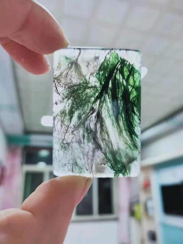 水草玛瑙是天然还是人工的，水草玛瑙的功效与作用（什么是水草玛瑙）