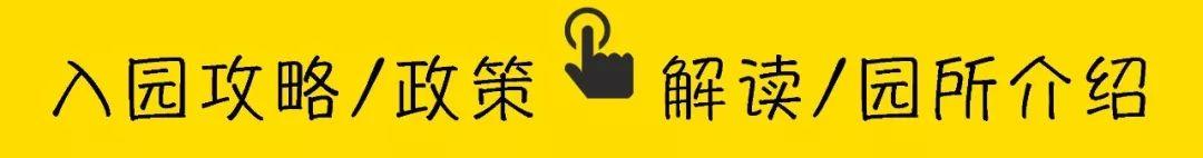 银川蒙特梭利国际学校（深圳小众的蒙氏幼儿园）
