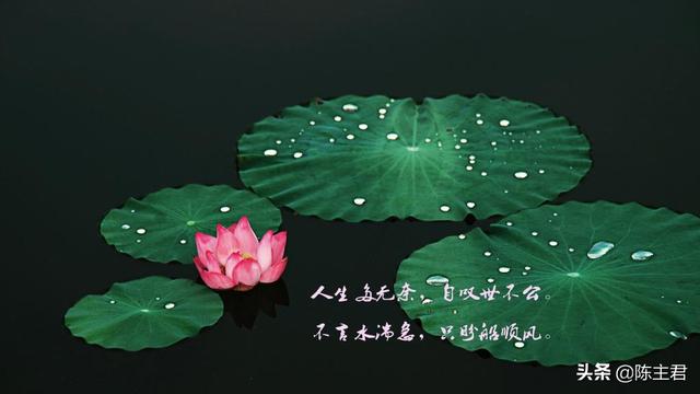 表达心累又无奈的说说，压抑憋屈的心情说说（伤感心累无奈的说说）