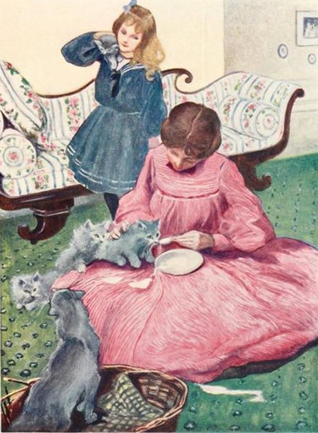 猫可以喝椰奶吗，椰子无糖酸奶猫能吃吗（你应该知道猫和牛奶的这些历史）