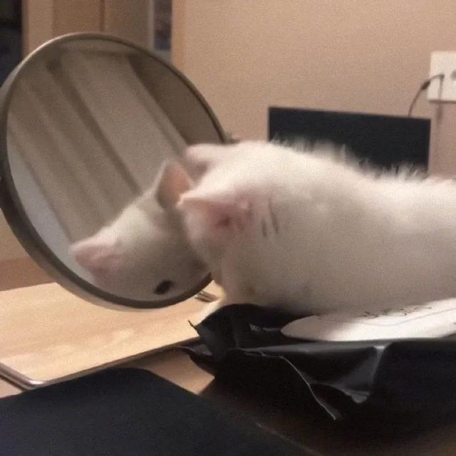 神仙ins仙女闺蜜头像，ins.仙女味闺蜜头像/如果老了怎么办，广场舞看起来好难微信（来看看好看的闺蜜头像）