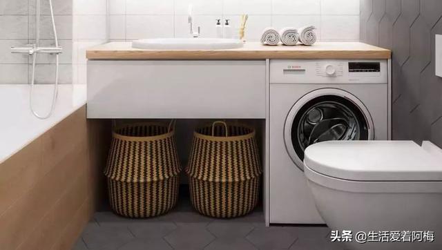 霸王芋，卫生间潮湿、发霉、不通风（霸王芋的养殖方法和注意事项）