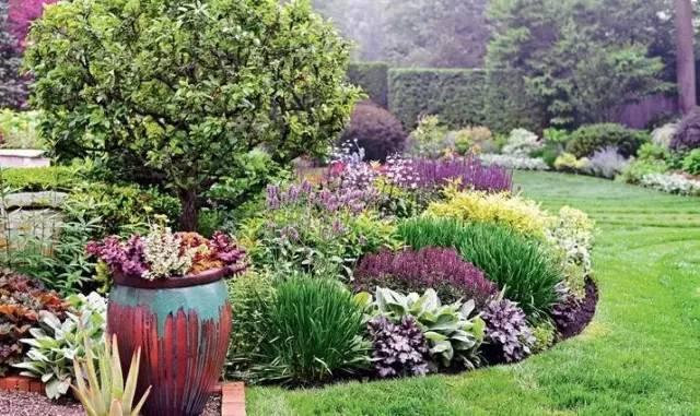 老花镜怎么配，老花镜要去配还是直接买就行（花境植物的配置与养护技巧）