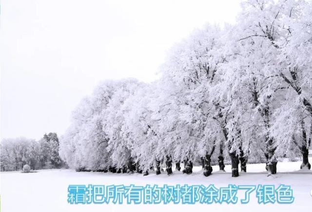 硕大无朋的硕是什么意思，硕大无朋什么意思啊（部编语文四年级下第26课《巨人的花园》知识点+图文讲解+课堂测试）