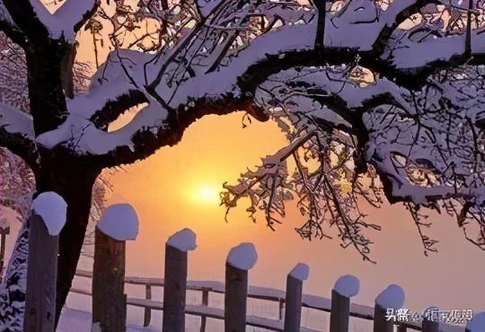 初冬的第一场雪作文5篇，冬天里第一场雪作文（初冬的第一场雪）