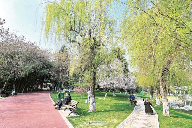 草长莺飞造句，草长莺飞造句和意思（形容绿荫的叠词有哪些）