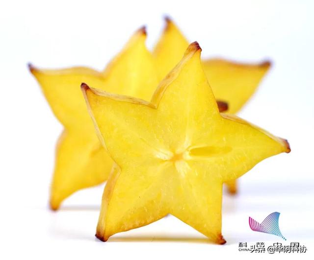 杨桃怎么算熟了，杨桃怎样才算熟了（这种常见的水果\