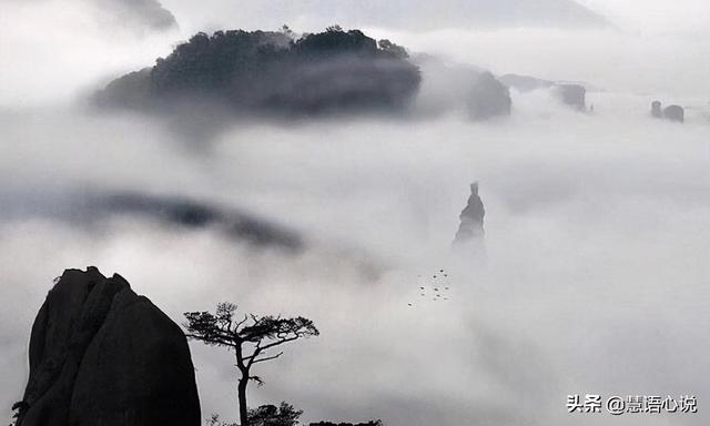 上善若水厚德载物，悠悠琴韵，厚德载物（上善若水厚德载物中华美德源远流长）