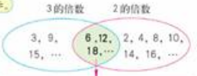 8和9的最小公倍数是多少，8和9的最小公倍数是多少最大公因数是多少（小学数学：公倍数与最小公倍数）