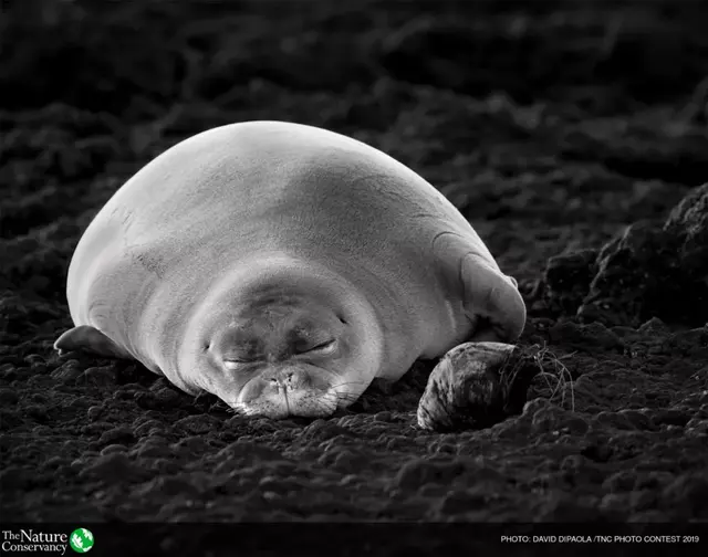 怦然心动美图，怦然心动最新图片（美图 ， 这一瞬间的怦然心动）