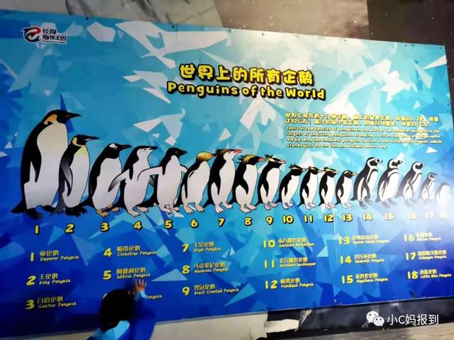 珠海长隆游玩攻略，珠海长隆游玩攻略图（带娃去珠海长隆该怎么玩）