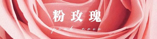 各种玫瑰花的含义，各色的玫瑰花有什么含意（一篇文章认全花店必备80种玫瑰花）