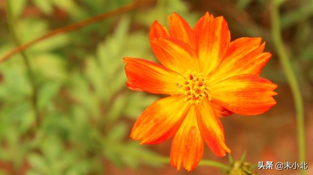 与其锦上添花不如雪中送炭的意思，与其锦上添花不如雪中送炭的意思是什么（有一种“假友谊”叫）