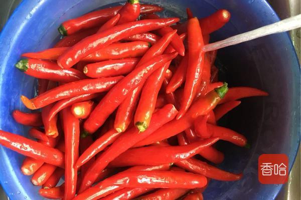 正宗湖南剁辣椒的做法，家常剁椒的做法和步骤（正宗湖南剁辣椒）