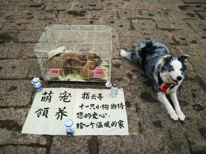 地摊货新产品(跑江湖卖20元新产品)