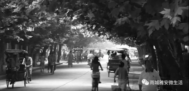 冷色系女头/快乐是个奢侈品，微信头像，冷色系女头/快乐是个奢侈品（雅安：一城梧桐伴流年）
