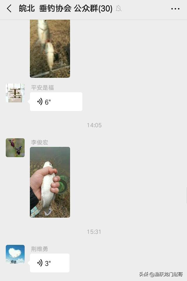 冬季专钓大鲫鱼偏方，专钓大鲫鱼偏方（这样的窝料就可以包打天下）