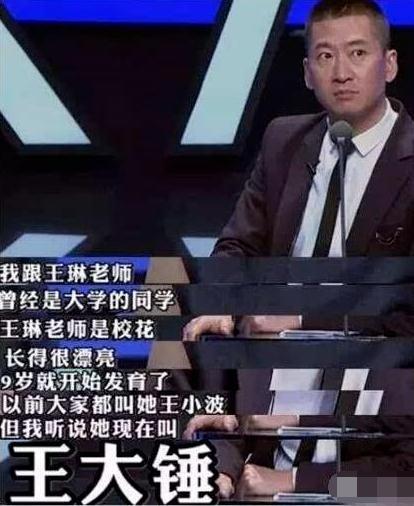 王琳演过的电视剧，袁姗姗和王琳演的什么电视剧有哪些（“雪姨”王琳的狂野情史）