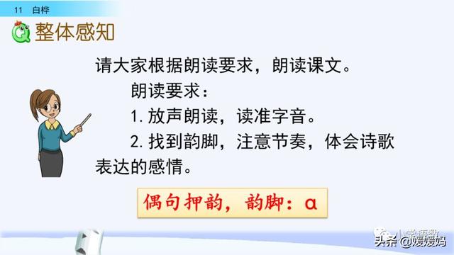 悠扬的近义词，“悠扬”的近义词是什么（四年级下册语文第11课《白桦》图文详解及同步练习）
