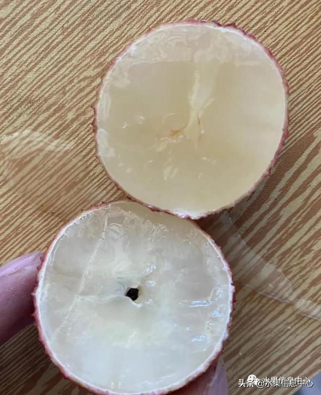 盘点15种常见荔枝，荔枝品种哪个最贵（桂味、糯米糍、新球蜜荔、无核荔枝等）