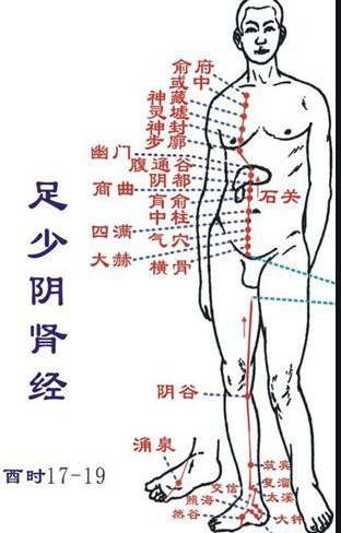 十二经络走向记忆法，十二经络走向记忆法2（12首穴位歌诀教你瞬间记住经络走向）