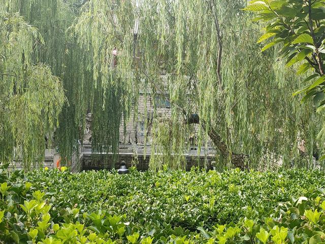 厦门旅游攻略，厦门到黄山旅游攻略（厦门三天两夜自由行全攻略）
