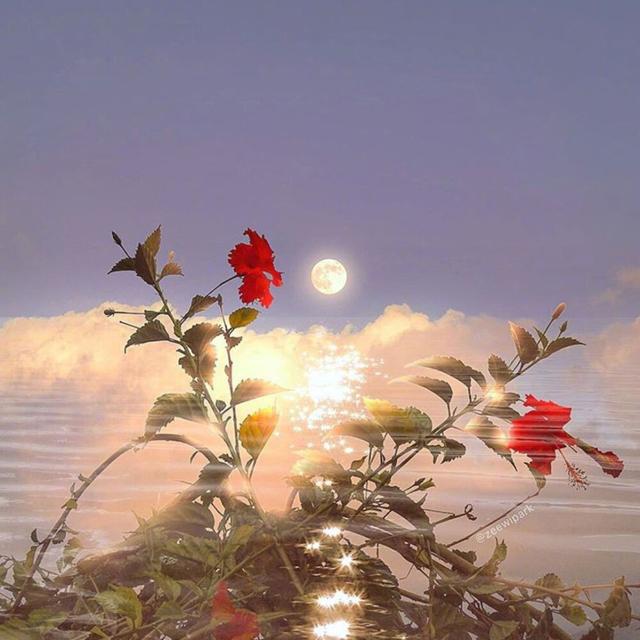 关于星星月亮的背景图，关于星星月亮的背景图片（帮你关掉月亮——唯美浪漫月亮主题背景图句子集分享）