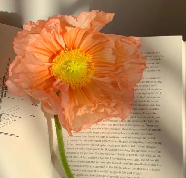 温柔句子简单好听，好听温柔的句子（很温柔很向上的句子）