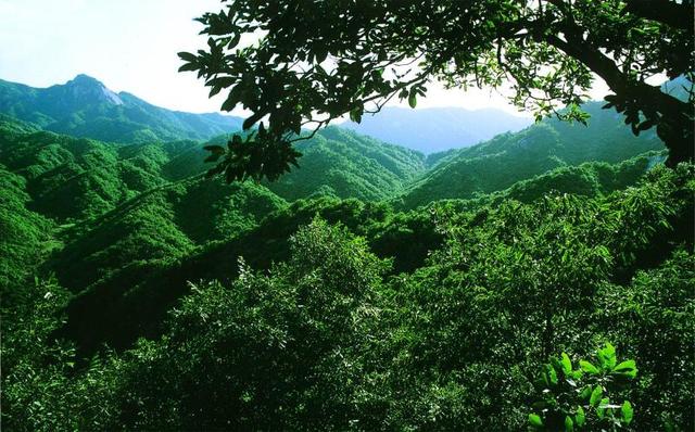 驻马店景区有哪些景点，驻马店景区有哪些景点推荐（这些别具一格的景点给你不一般的旅行体验）