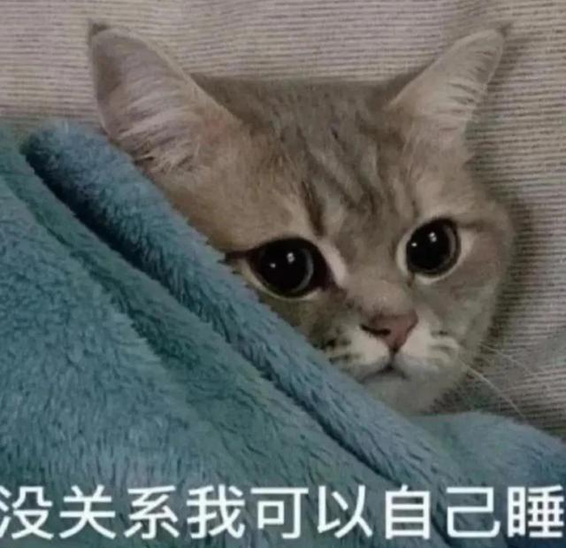 一对可爱狗狗表情包图集，情侣专用狗狗猫猫可可爱爱沙雕表情包