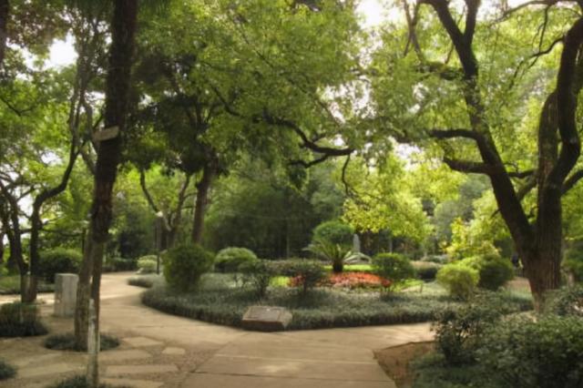 衡阳雁峰在哪里，衡阳市雁峰塔在什么地方（却被誉为“南岳第一峰”）