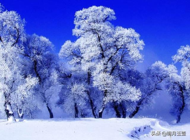 二拜高堂，高堂指什么（明月玉壶：“雨雪又纷飞）