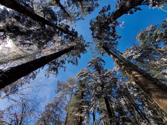 海螺沟海拔多少米，海螺沟海拔多少米有高反吗（带你三天领略低海拔冰川—海螺沟）