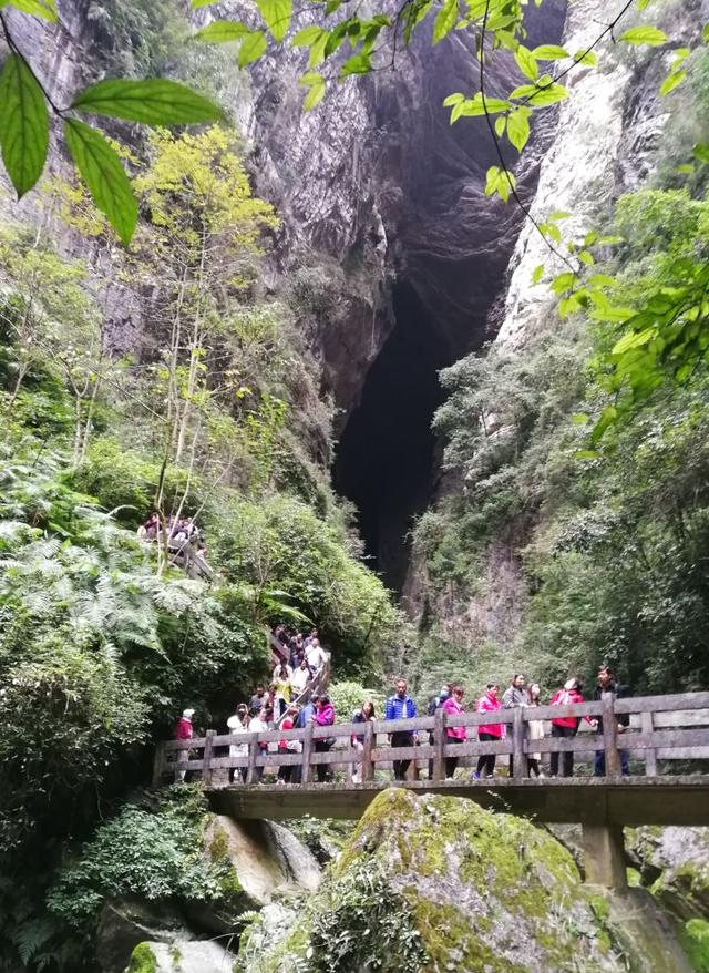 第一天從重慶到武隆汽車站,然後到武隆仙女山鎮遊客中心--》仙女山