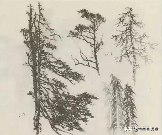 大树怎么画，大树怎么画的特别好看（缠枝、挺杆、屈节、钮裂、一棵树如何画）