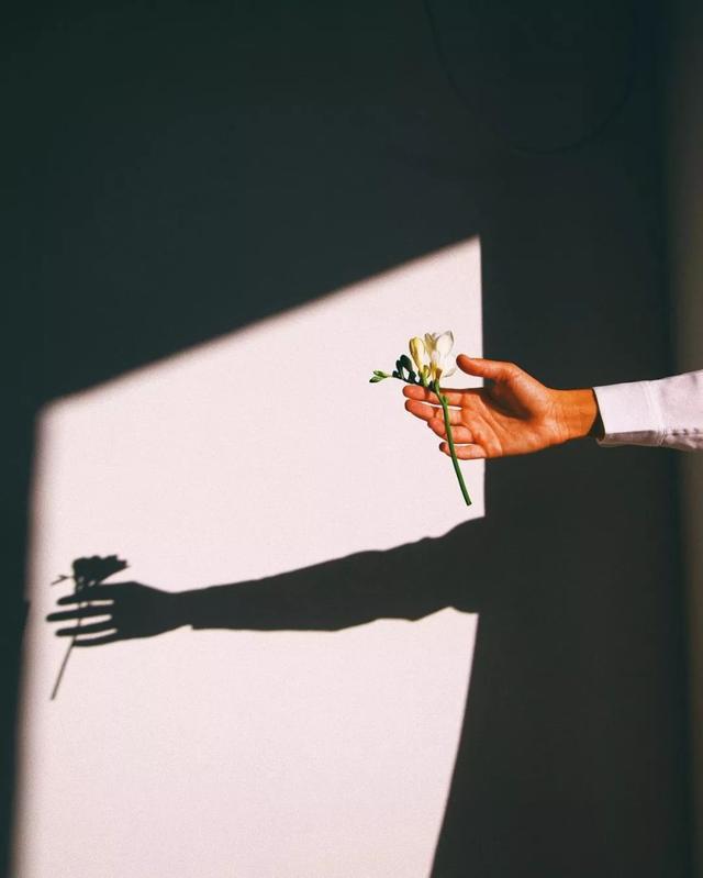 摄影如何打光，摄影怎么打光（摄影这么运用光线，美丽翻倍）